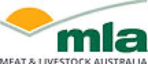 Mla Format High Res logo